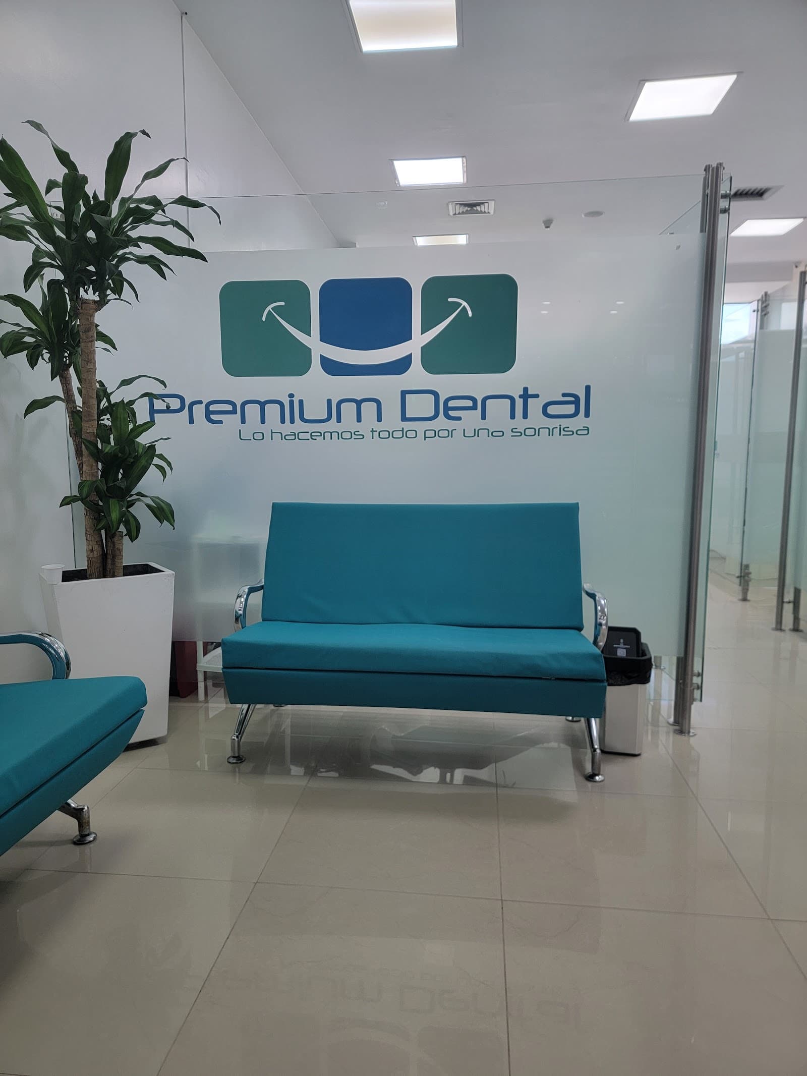 Premier Dental Group photo 5