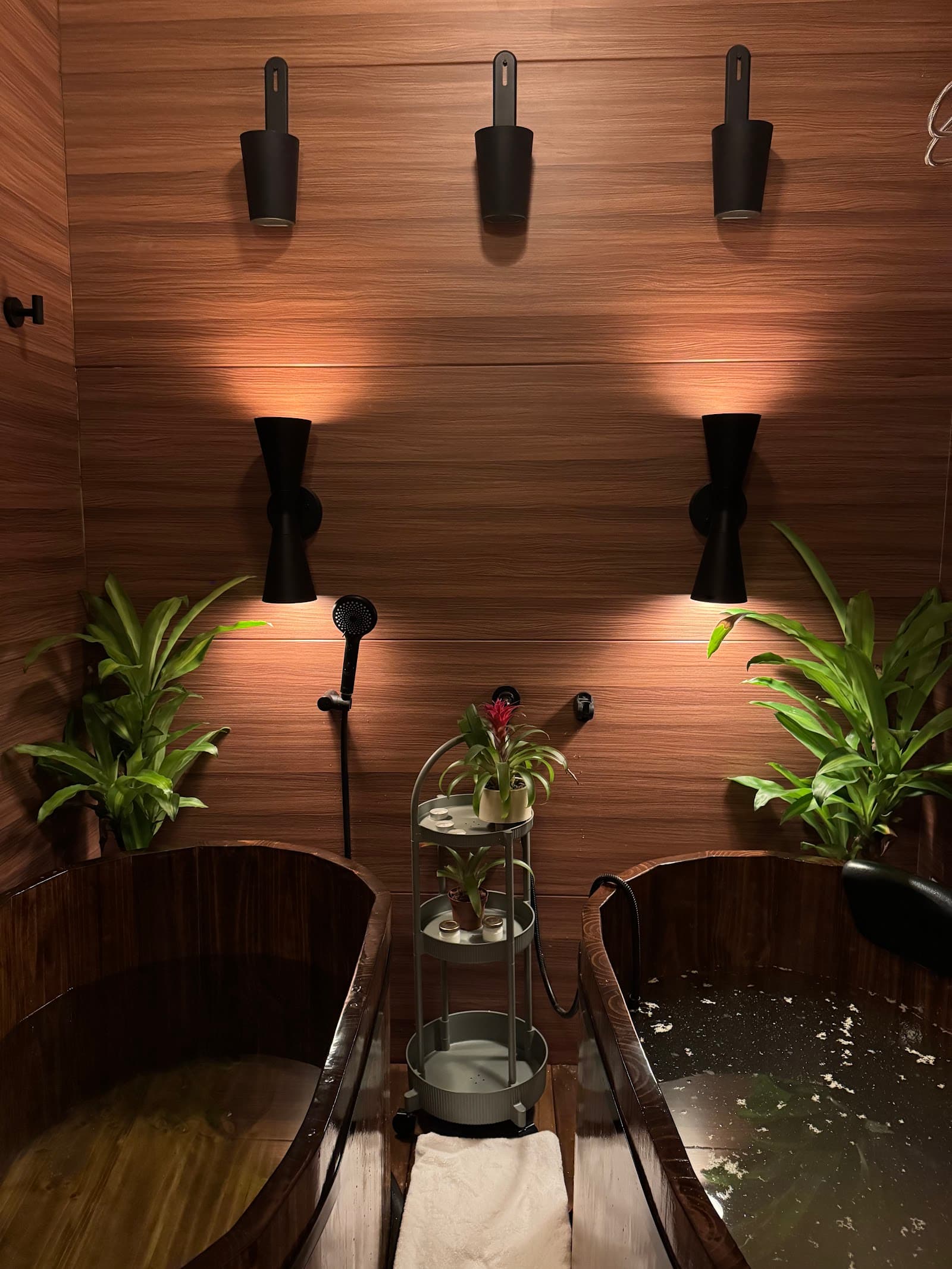 Wellness Recovery Medellín