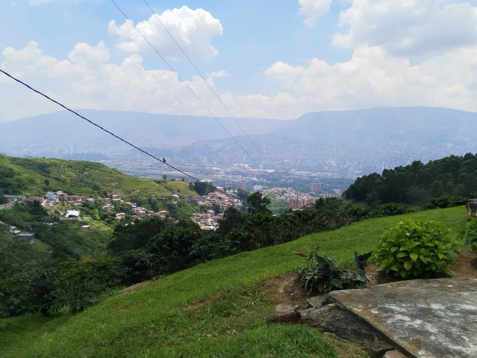 Artisanal Coffee Farm and Boutique Tourism Investment | Vereda El Jardín