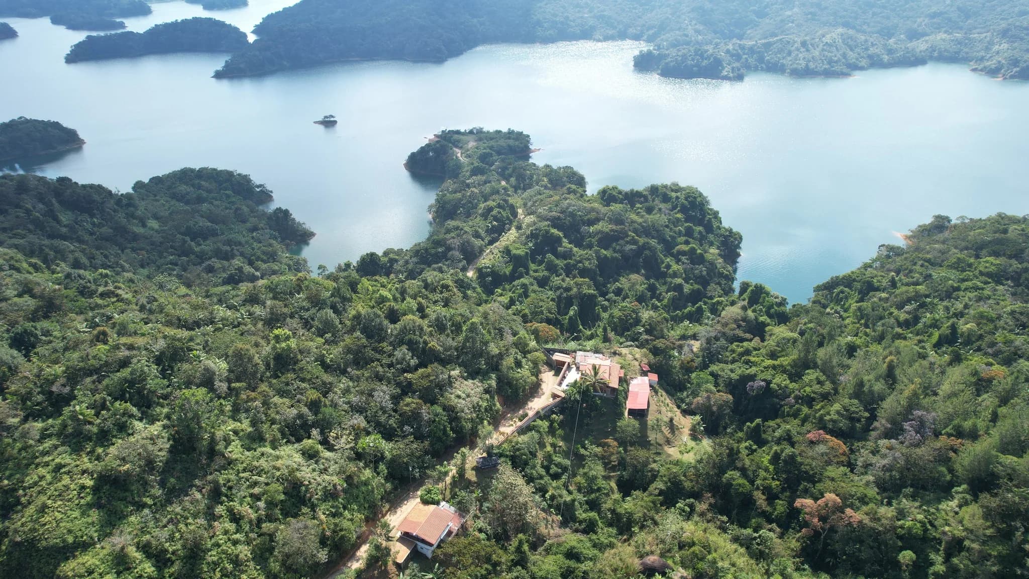 Sale of FARM located in the Municipality of San Roque