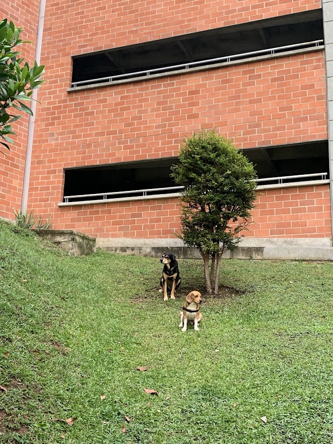zona pet(1)