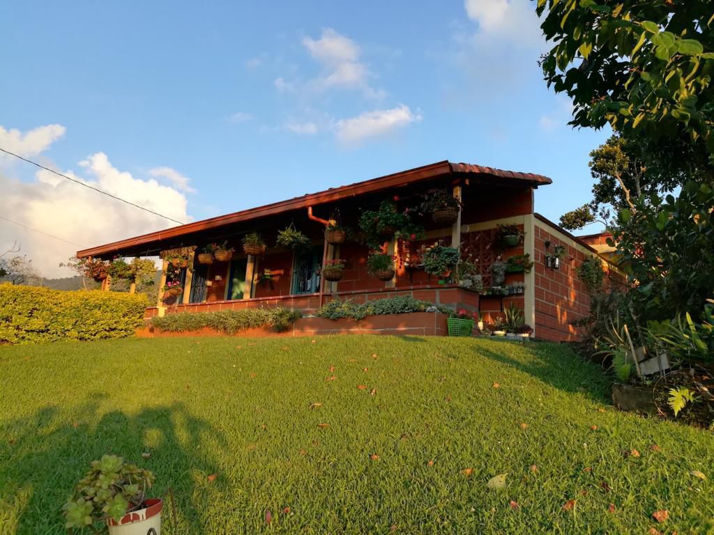 PHOTO-2026-01-27-11-37-06 (3)(1)