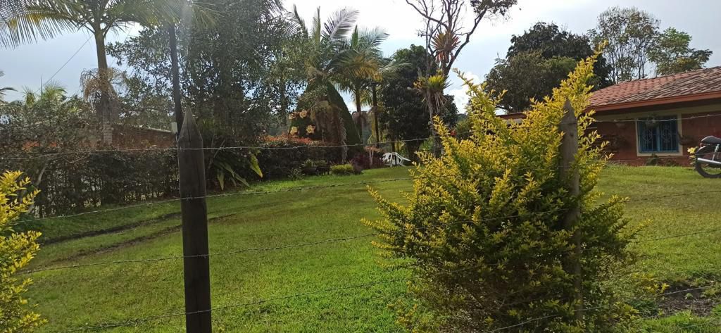 PHOTO-2026-01-27-11-37-07 (3)(1)